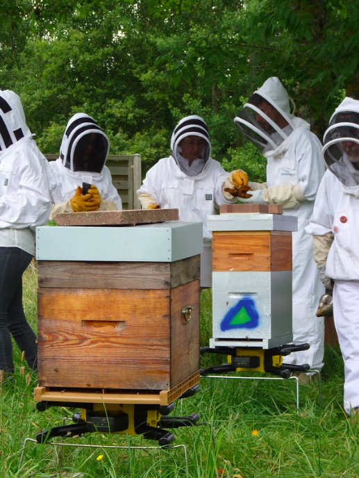 LABEL ABEILLE - installation ruche connectée